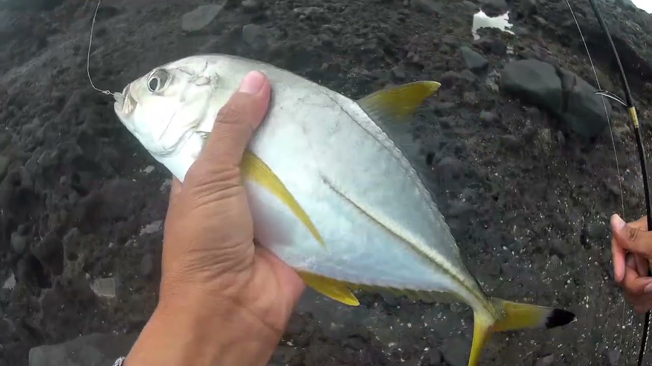Rock fishing Jember selatan- pantai canga'an-