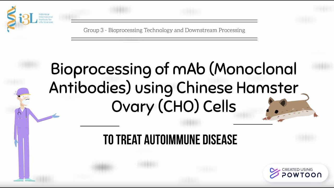 Group 3 BTDP - Bioprocessing of mAb Using Chinese Hamster Ovary Cells to Treat Autoimmune Disease