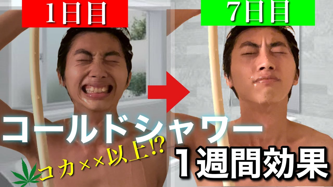 【最高の習慣】1週間コールドシャワーを毎朝浴び続けた正直な感想...
