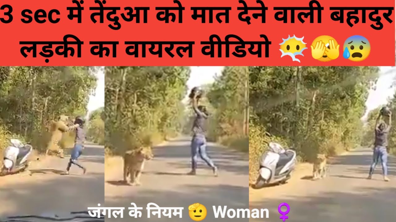 Wild Animal Encounter 😱 | जंगल में लड़की🤷 और बाघ 🐯आमने-सामने | Survival Tips You Must Know😶‍🌫️
