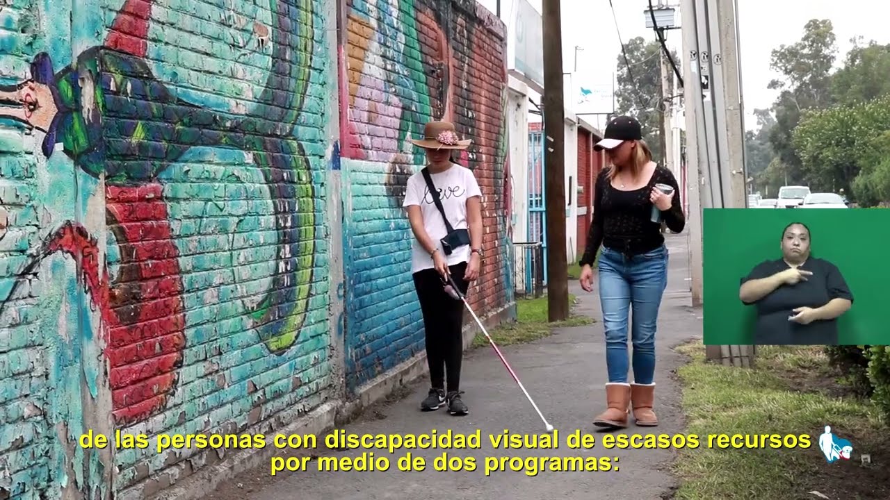 Perros Gu&iacute;a: video institucional 2024 (con lengua de se&ntilde;as mexicana)