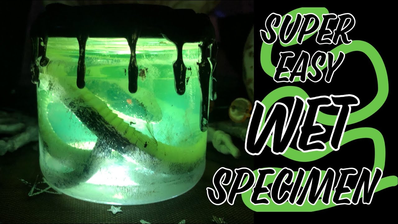 Wet specimen how to tutorial easy Halloween decoration collaboration with Claire’s crafty corner
