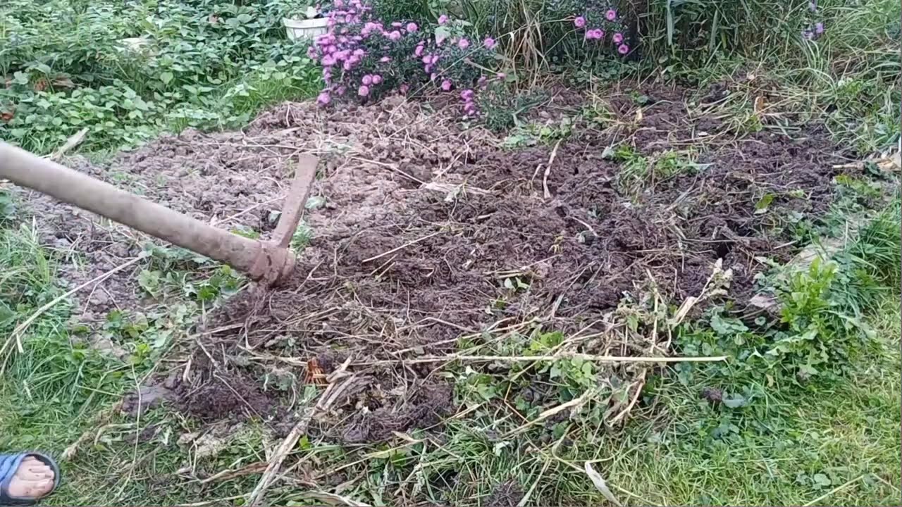 ZAPOMENUTÉ VIDEO!! Vylejvání močůvky a zakypřováňí💩🪏