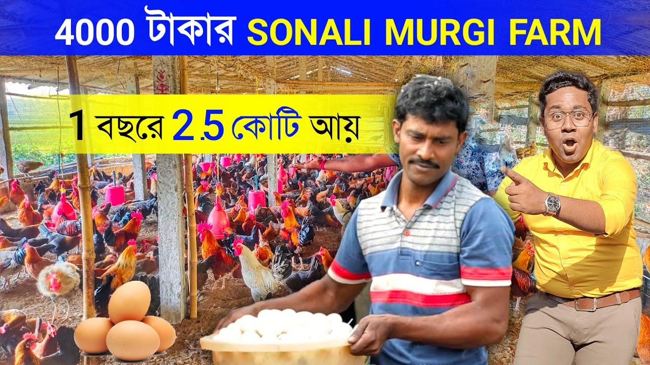4000 টাকার SONALI MURGI FARM থেকে 1বছরে 2.5 কোটি আয় | Desi Murgi Palan | Desi Poultry Farm