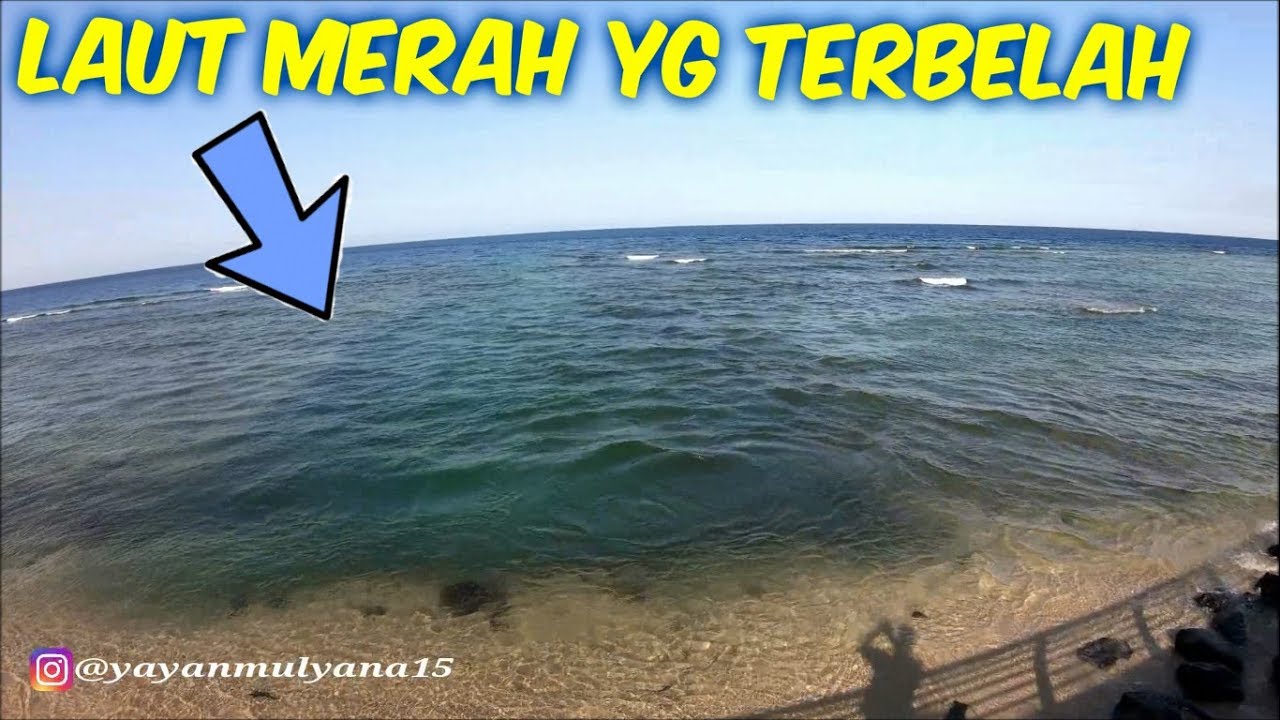 FENOMENA LAUT MERAH TERBELAH DI JEDDAH