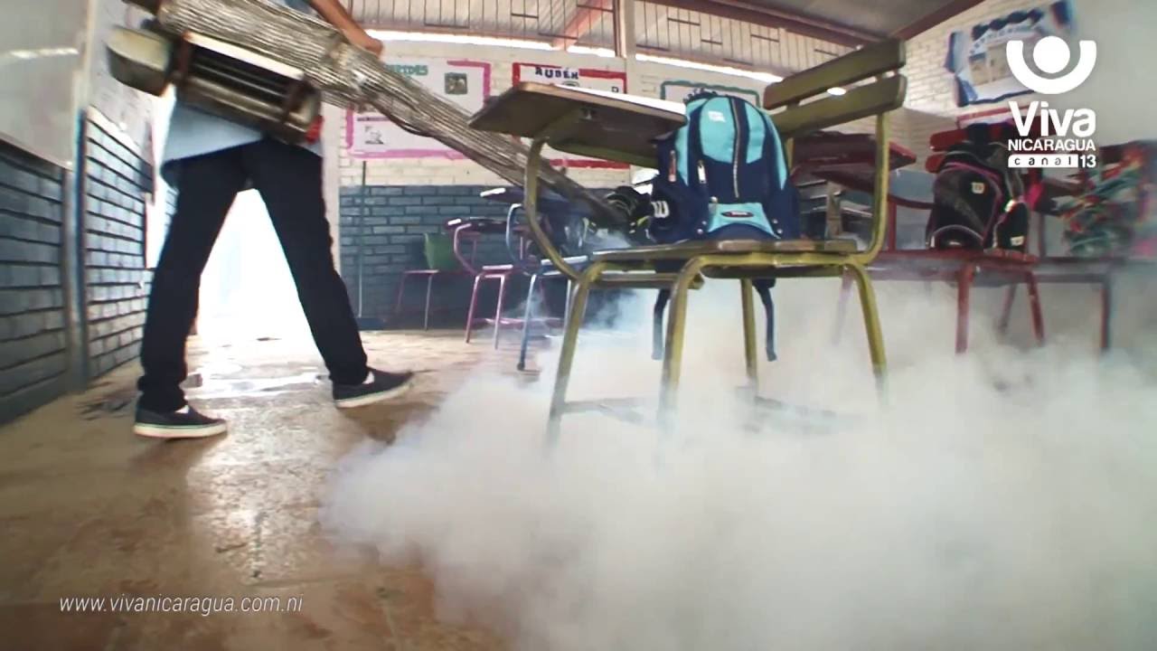 MINSA realiza Jornada de Fumigación en colegios del Distrito VI