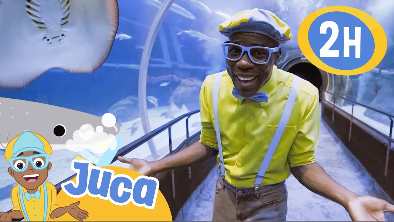 Juca e suas aventuras marítimas 🌊🔍 HORA DO JUCA BRASIL! | Vídeos Educativos para Crianças