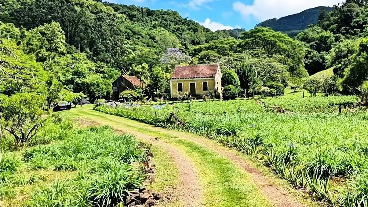 LUGARES NO INTERIOR ONDE TEM HISTÓRIAS E MORADIA LINDAS 