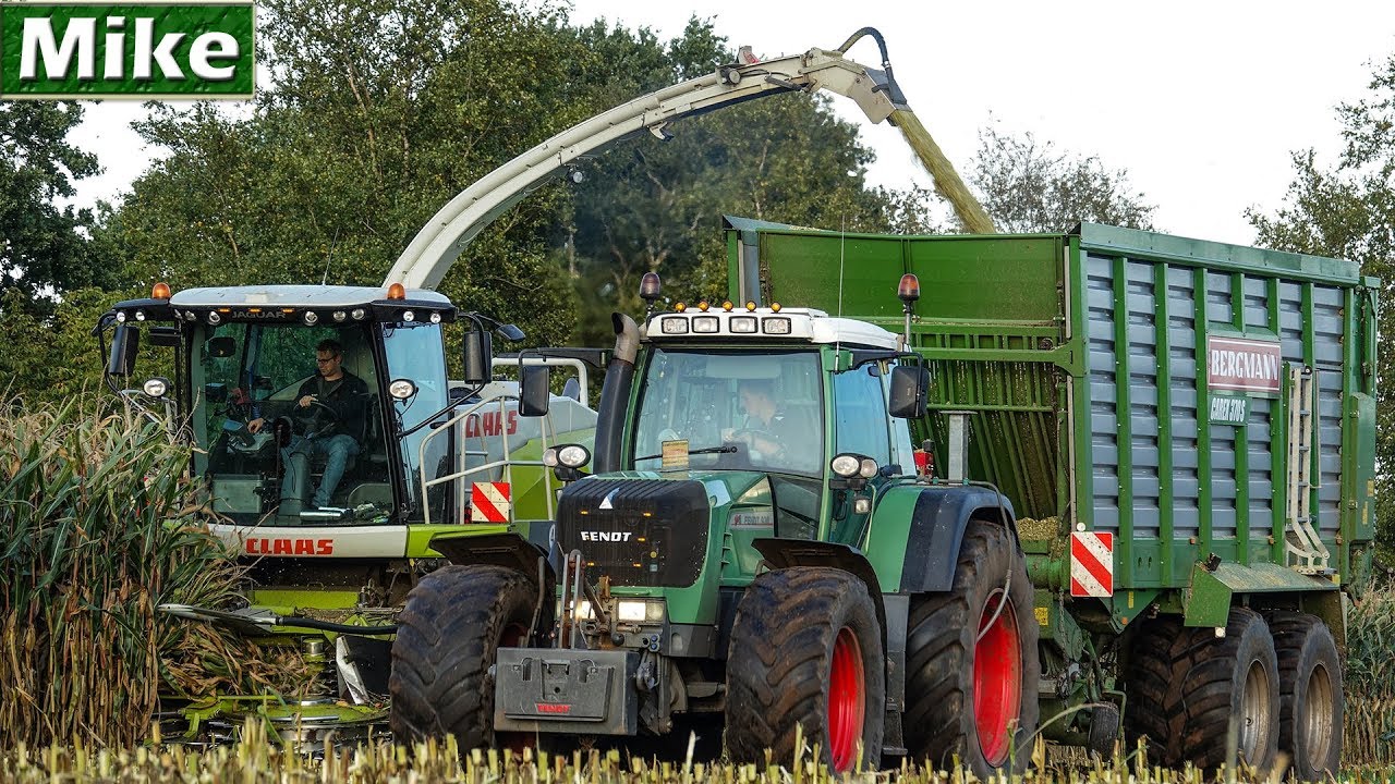 2019 | Mais hakselen | Fendt 930 + Bergmann | Claas Jaguar 940 | Van Geresteijn B.V.