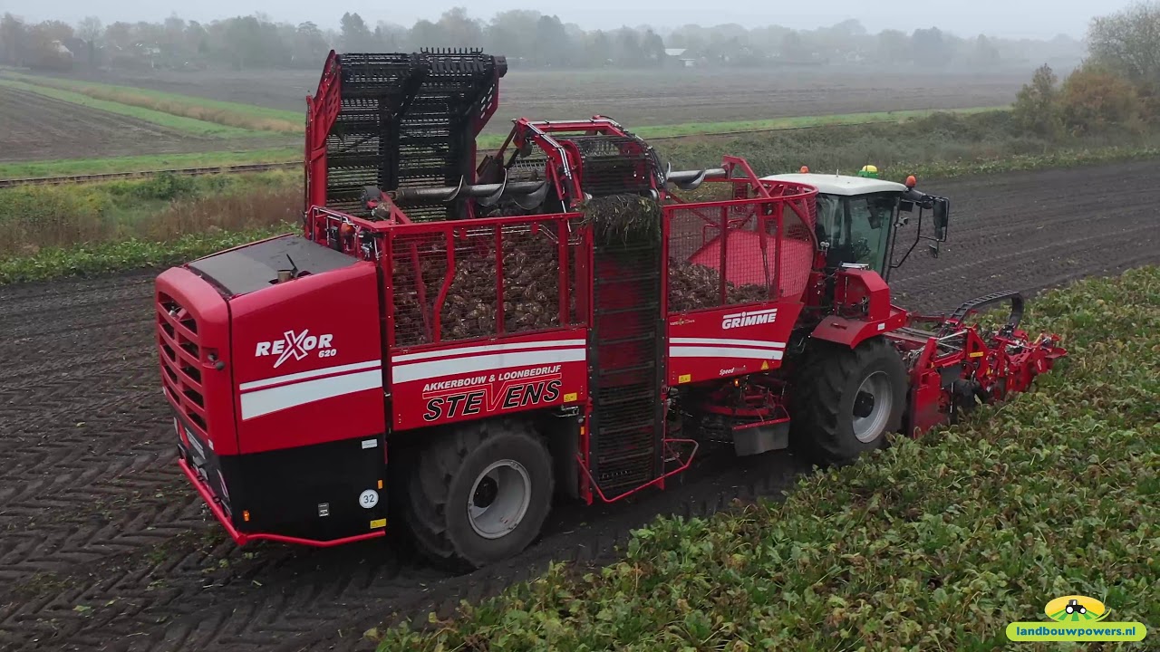 Bietenrooien door loonbedrijf Stevens - Grimme Rexor 620 - New Holland T7.230 & T7200 met BeBoMa