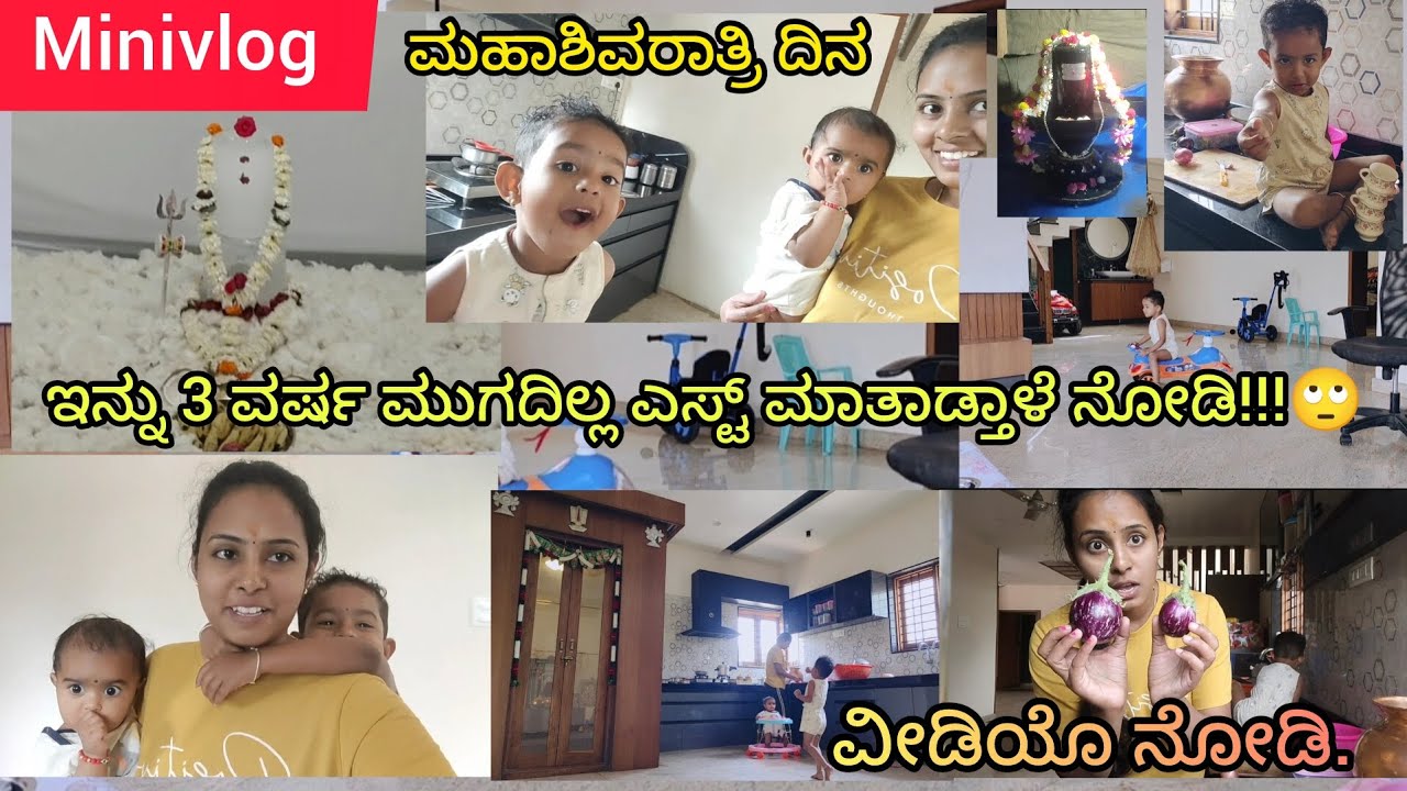 Daily vlogs minivlog