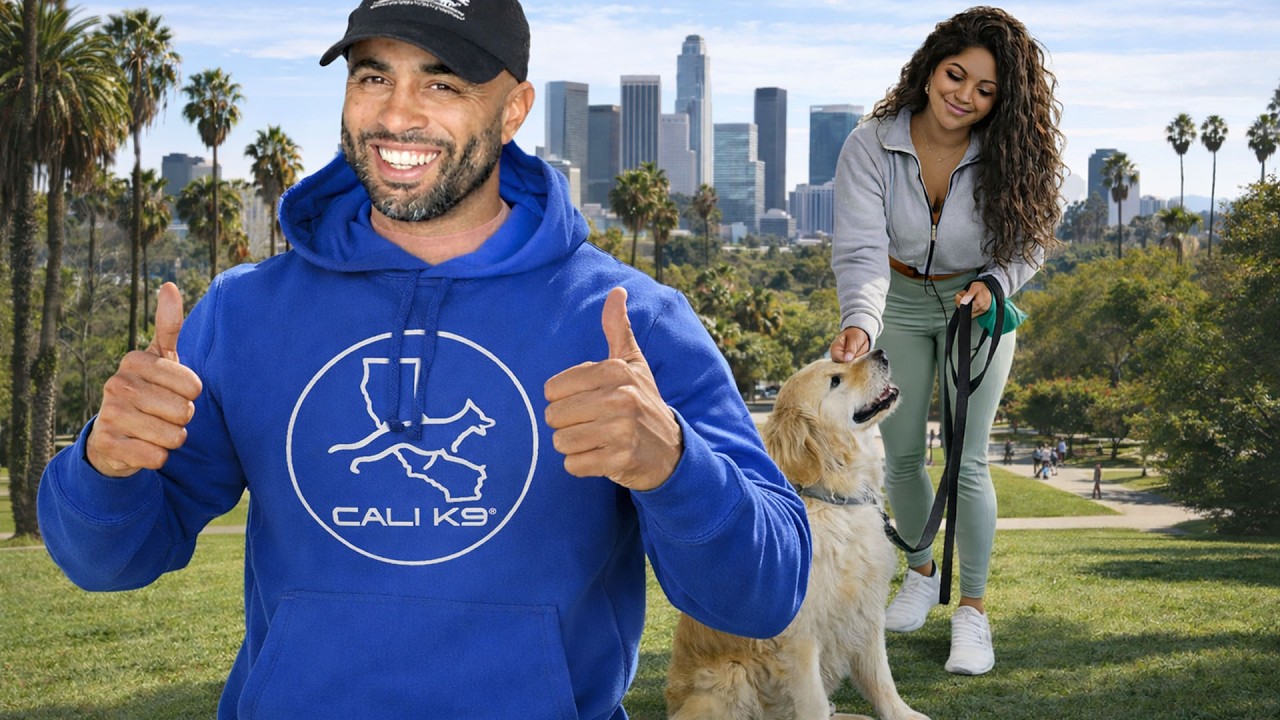 12 Things a Fake Dog Trainer Won't Know