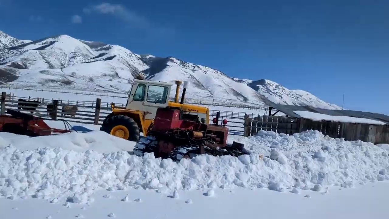 IH td9 dozer startup procedure and snow removal.