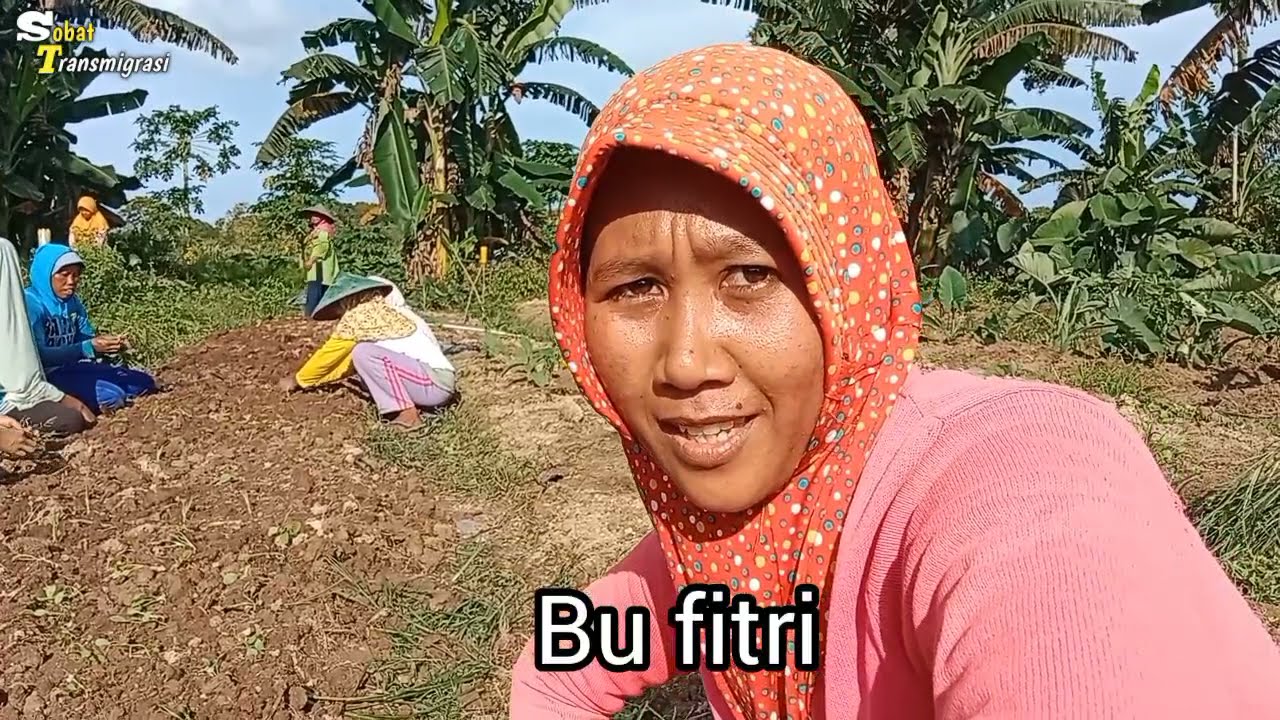 DEMPLOT KWT JAYA MAKMUR SP6 TANJUNG BUKA