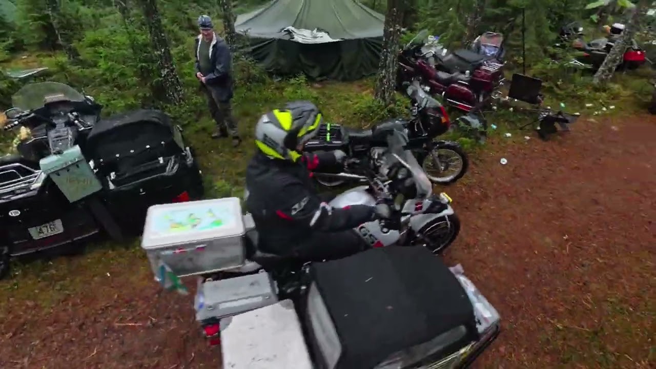 Pystymettä Koski TL 2025
