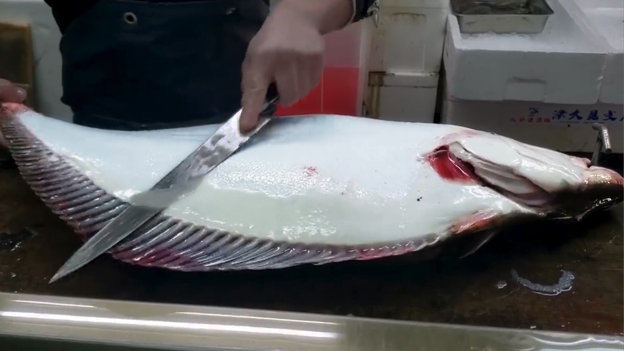 【職人技】100年続く魚屋の特大8kgヒラメ(ザブトン）捌き方・神経締め・神業鱗のすき引きHow to handle big fish
