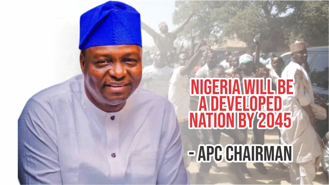 Нигерия станет развитой страной в 2045 году — заявил национальный председатель партии APC.