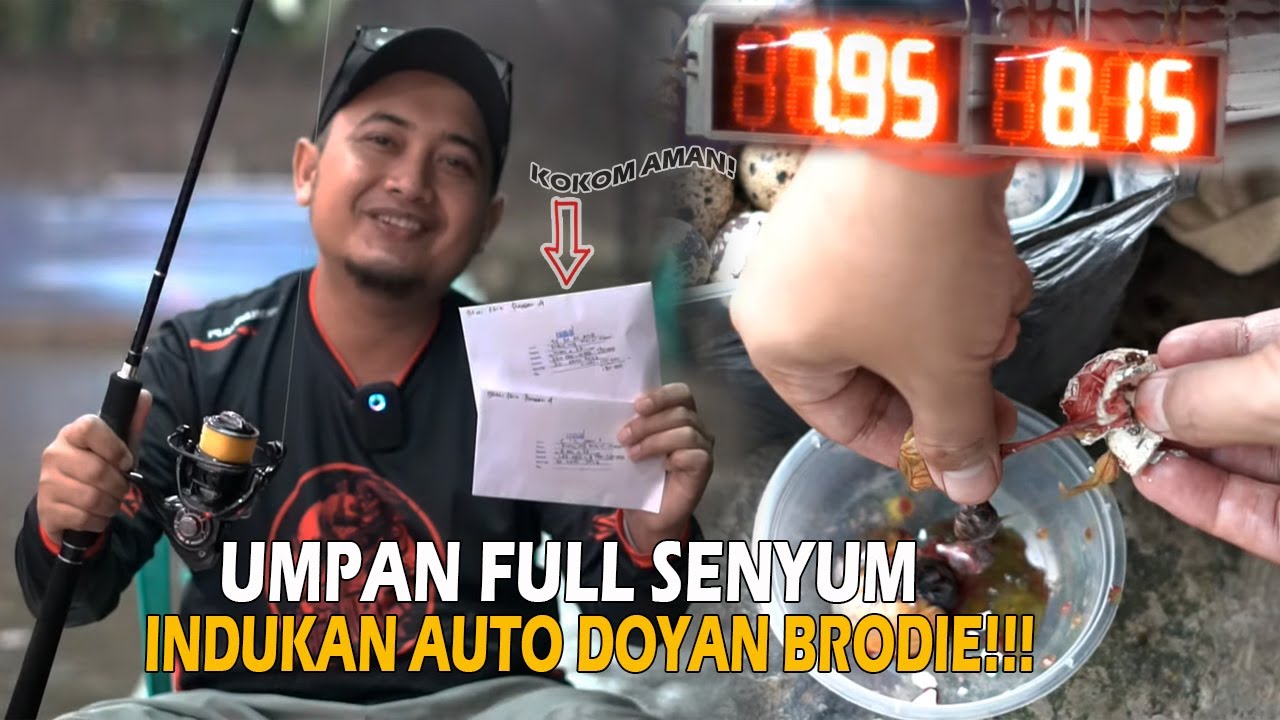 UMPAN SEGALA CUACA ❗❗  TARGET IKAN INDUK AUTO DOYAN ❗❗ AMPLOOOP MAH AMAN CUUUUUY ❗❗❗❗😍😍😍