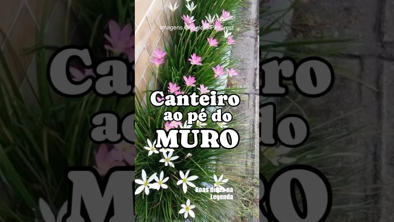 Canteiro ao p&eacute; do muro #casa #designdeinteriores #decoracao #decoraado #decora&ccedil;&atilde;o