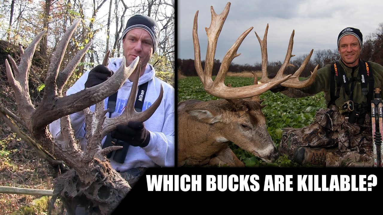 Two Bucks over 200