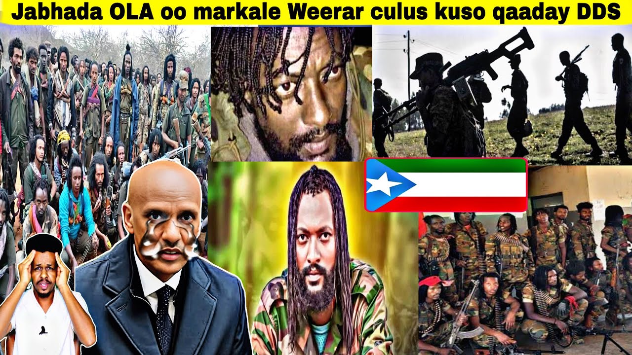 Jabhada Oromada ee OLA ayaa weerar culus kuso qaaday DDS qorshe halis aha oo ka fashilmay Xogo cuusb