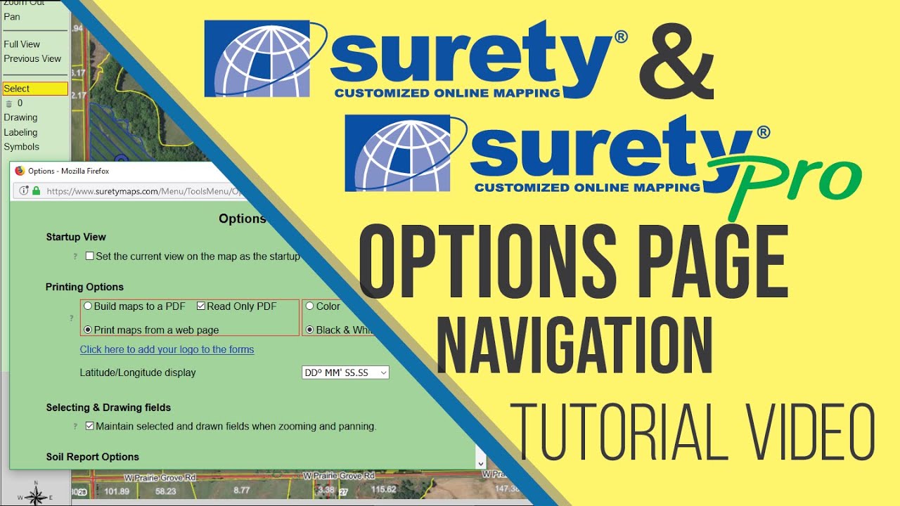 Navigating the Options Page