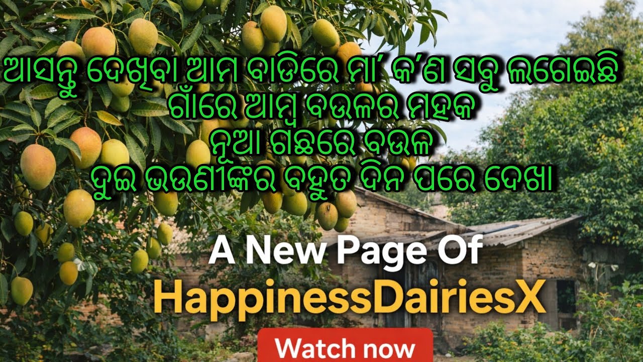  ଆସନ୍ତୁ ଦେଖିବା ଆମ ବାଡିରେ ମା' କ'ଣ ସବୁ ଲଗେଇଛି//ଗାଁରେ ଆମ୍ବ ବଉଳର ମହକ//ପ୍ରକୃତିର ଆଶୀର୍ବାଦ ନୂଆ ଗଛରେ ବଉଳ