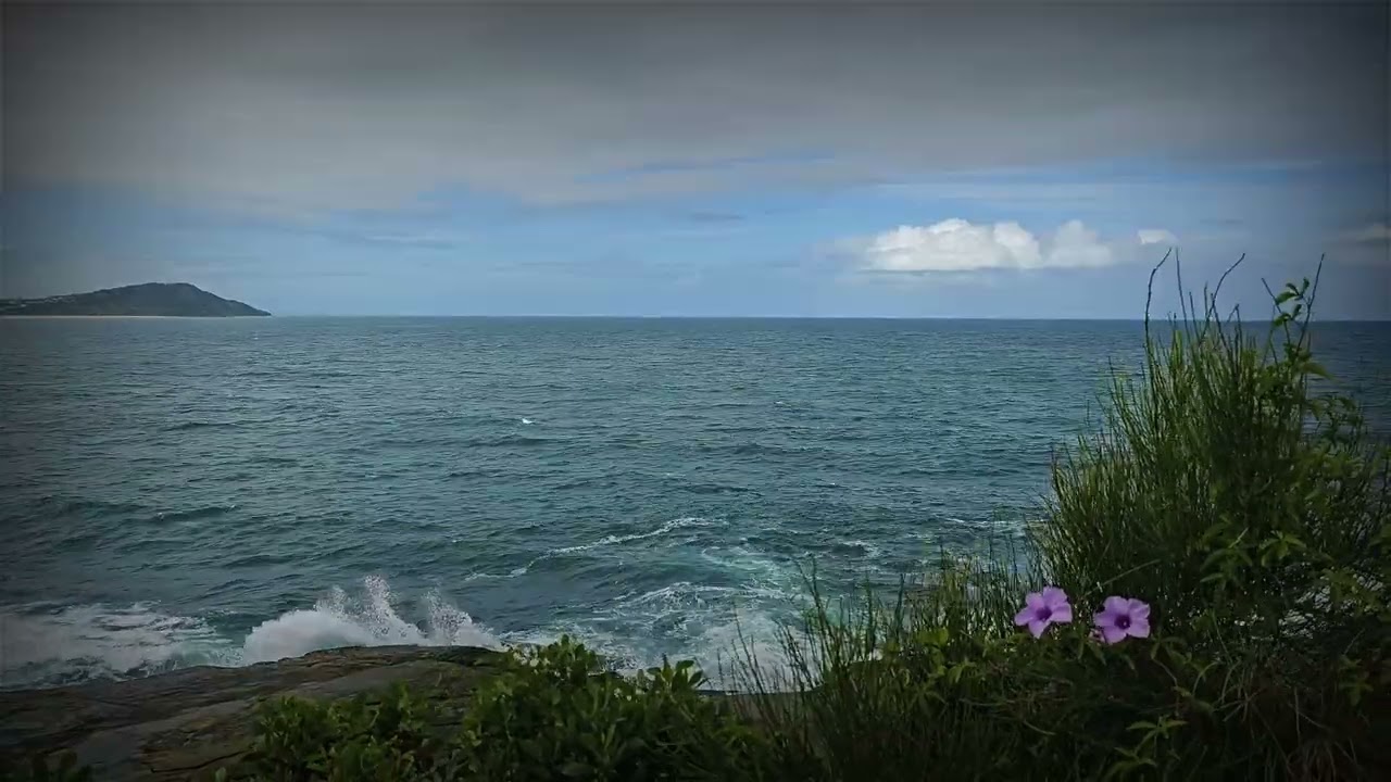 Ocean Sound