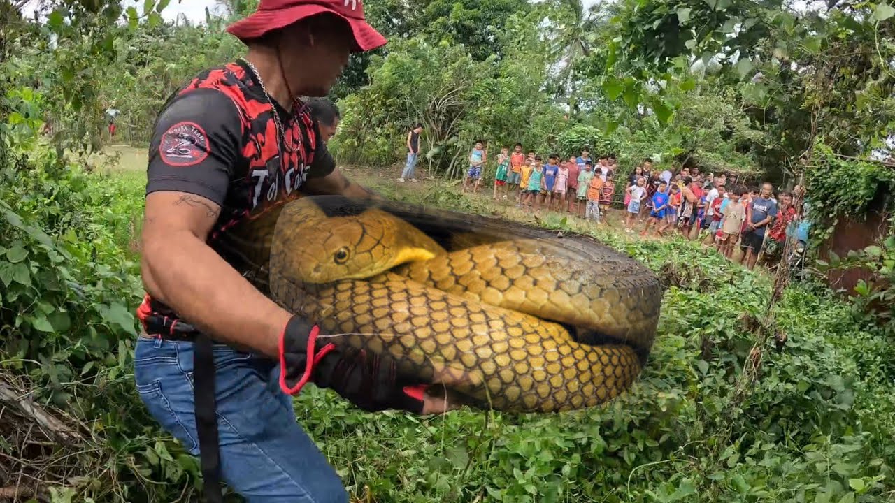 ANG KINATATAKUTAN NG LAHAT #tolcobra