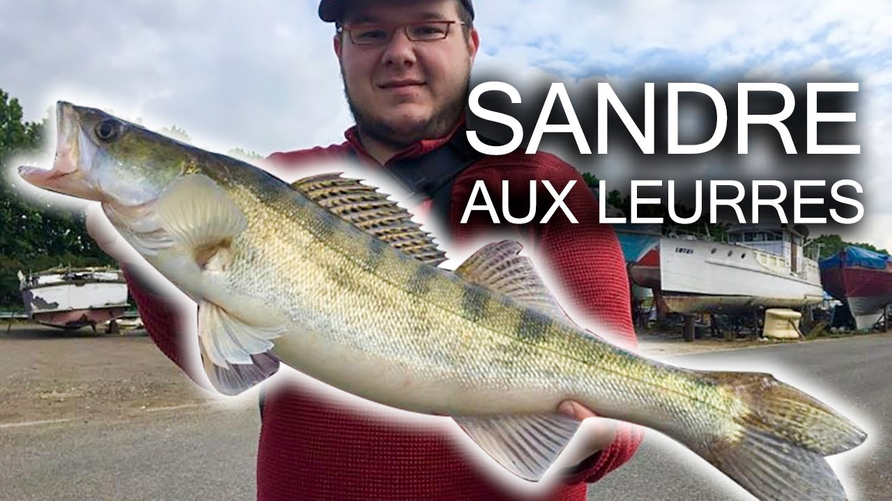 Pêche du sandre aux leurres 2020 : Il n'y a pas que le shad !