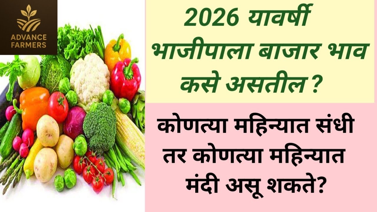 2026 मध्ये भाजीपाला बाजार भाव 📈 कसे राहतील?शेतकऱ्यांसाठी संपूर्ण अंदाज.