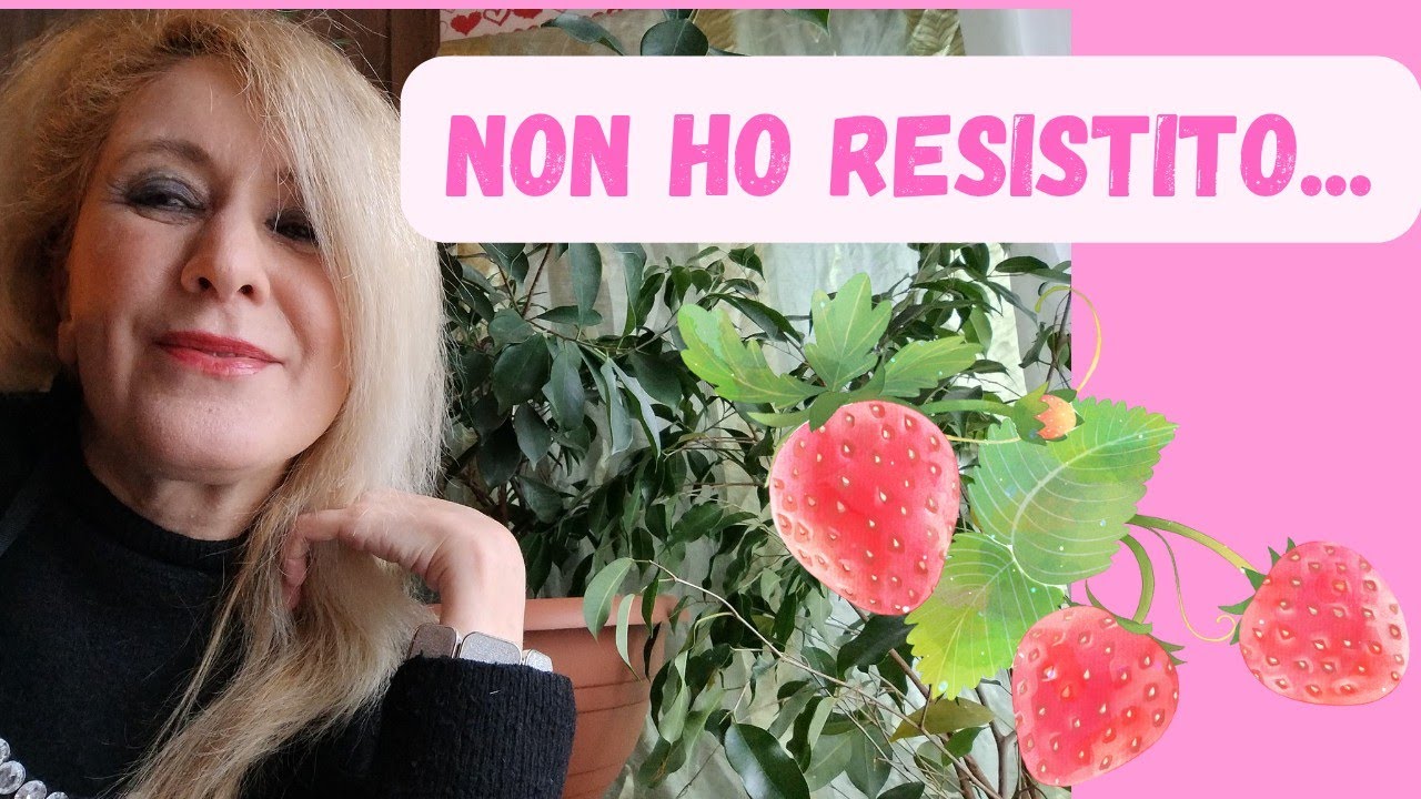 HAUL Conad e Nuovo Libro 🍓Non ho resistito...