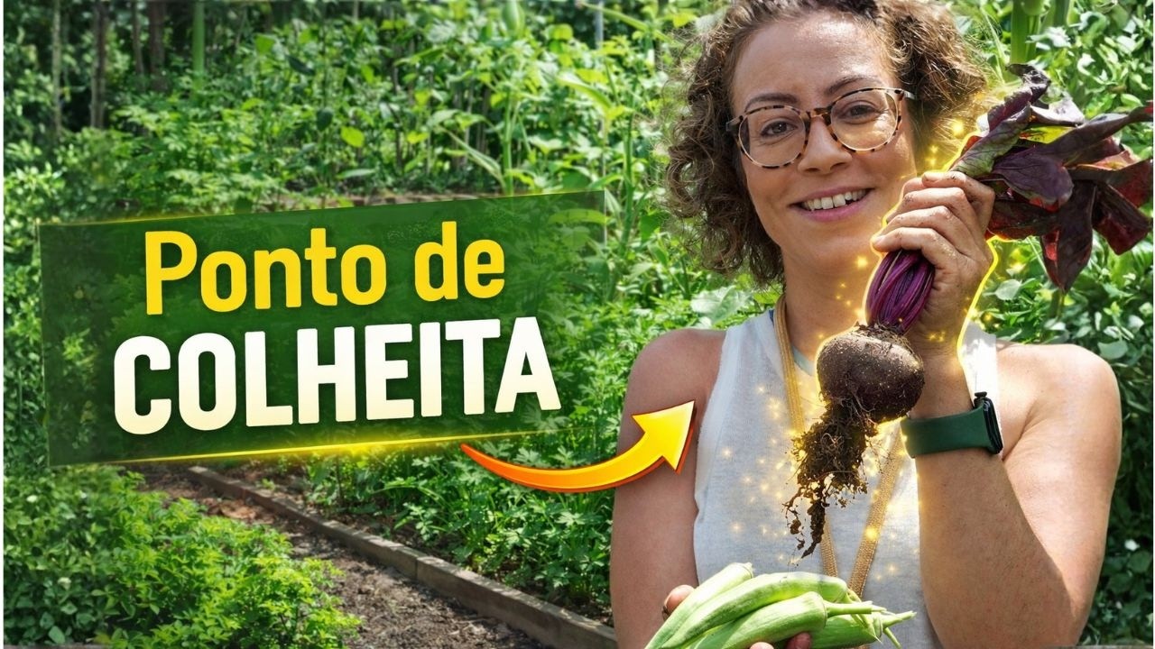 Como COLHER LEGUMES, VERDURAS e outras variedades na HORTA