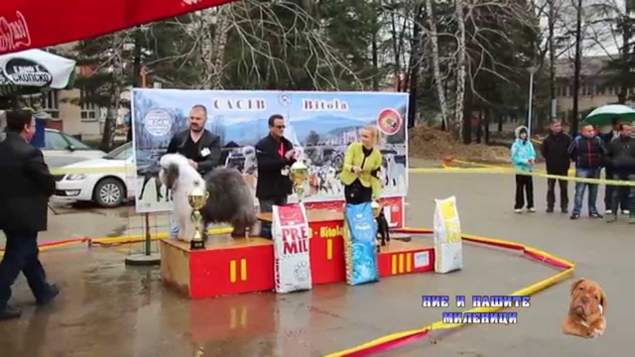 TV ORBIS - NIE I NASITE MILENICI 04.04.2015