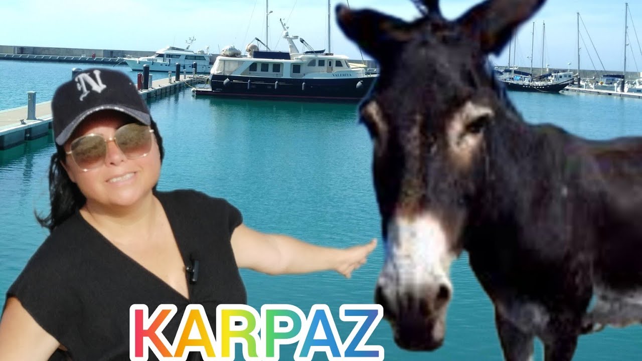 Dünyaca ünlü Altınkum plajı ,golden beach Karpaz da /Karpasia🏝️🌞eşekleri yedirdik, manastırı gezdik🚶