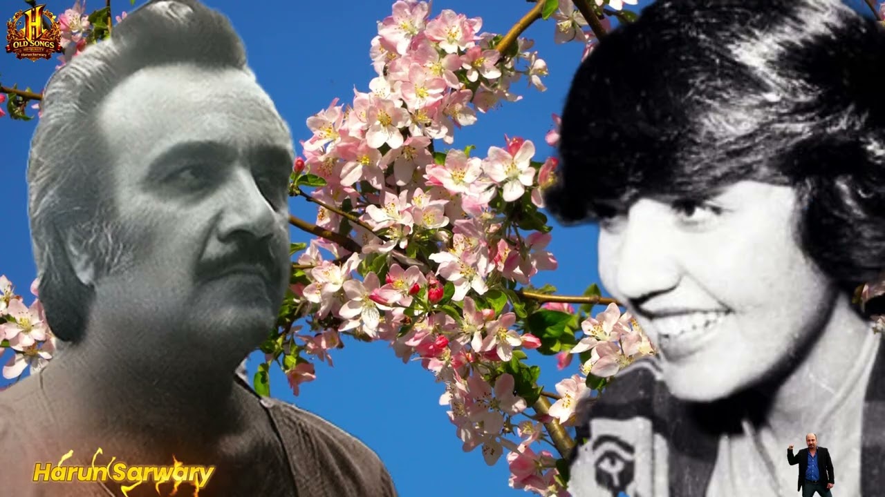 استاد نینواز و خانم هنگامه که بهار خواهی امد در حال تمرین بالای اهنگ مکمل و با کیفیت عالی شاید بار