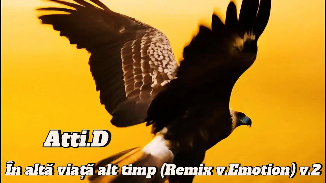 &Icirc;n altă viață alt timp (Emotion v.2) - Atti D & Aditza C | Original Romanian