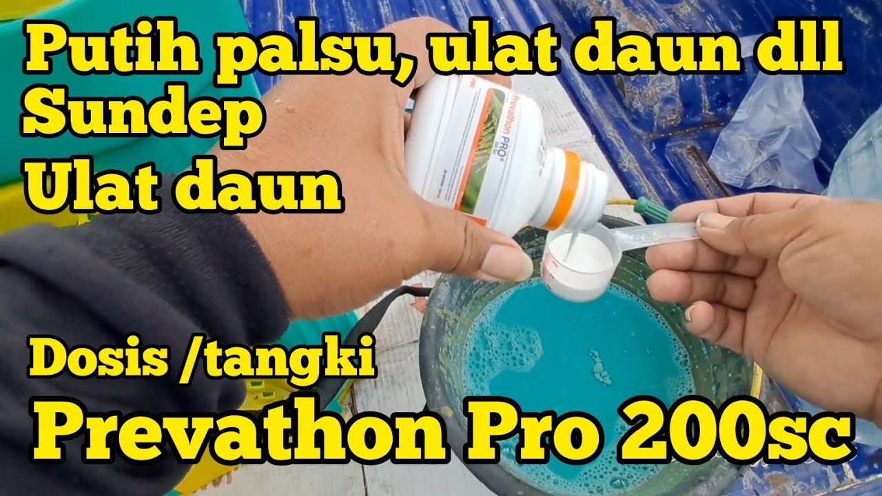 MANFAAT DAN DOSIS PREVATHON PRO DAN FUNGISIDA TAFT 75WP