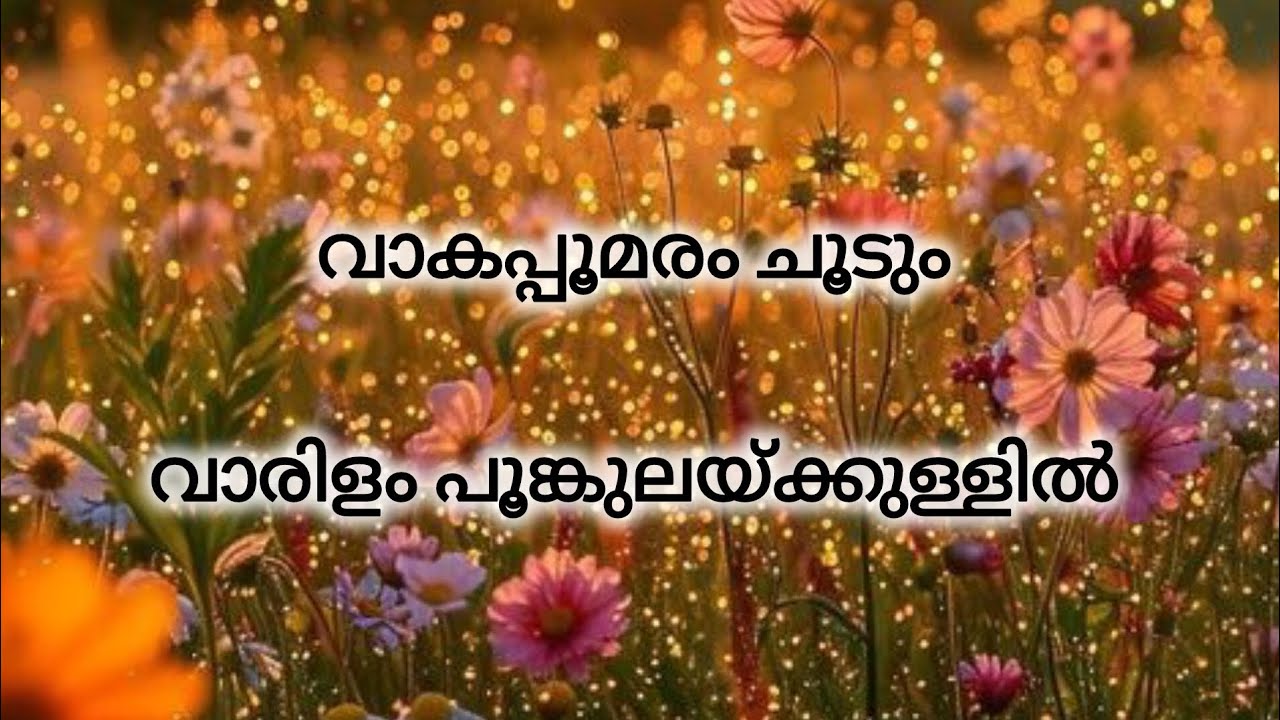 50 വർഷം പഴകമുള്ള ഈ പാട്ട് 🥰വീര്യം കൂടും തോറും മാധുര്യമുള്ള പാട്ട് 🥰