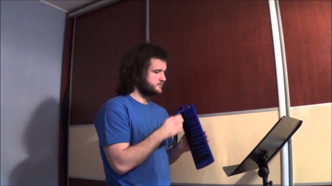 Eric Clapton - Tears In Heaven - melodica cover