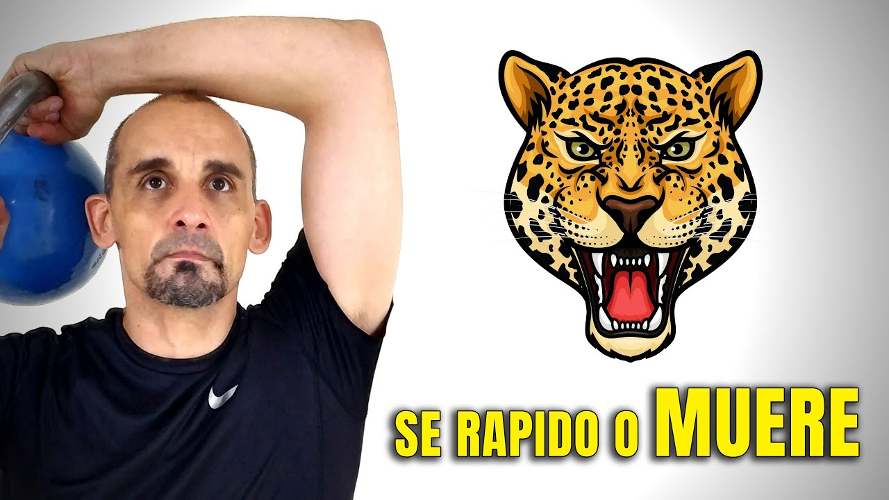 Explico el ultimo libro de PAVEL. The quick and the DEAD y como entrenarlo con kettlebells.