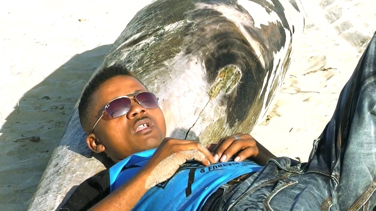 DELPHIN   Nadoko fa tsy tagna