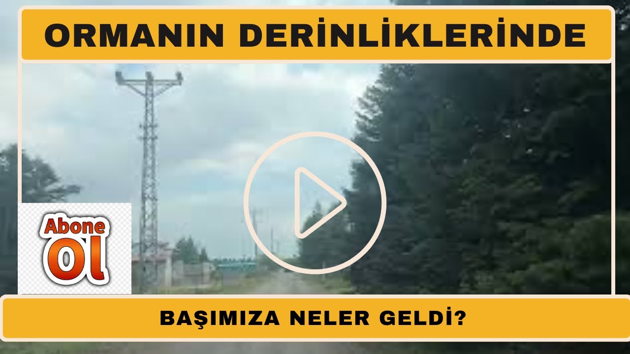 Seviller Yaylası'nda karavan kampı orman yürüyüşü