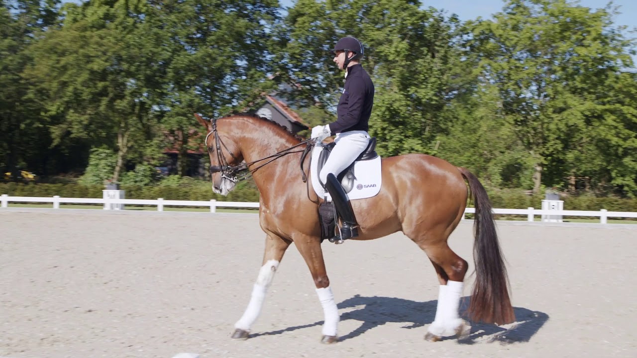 Patrik Kittel Dressage Tour S4E6 – Grand Prix Nivå: Piaff och Passage