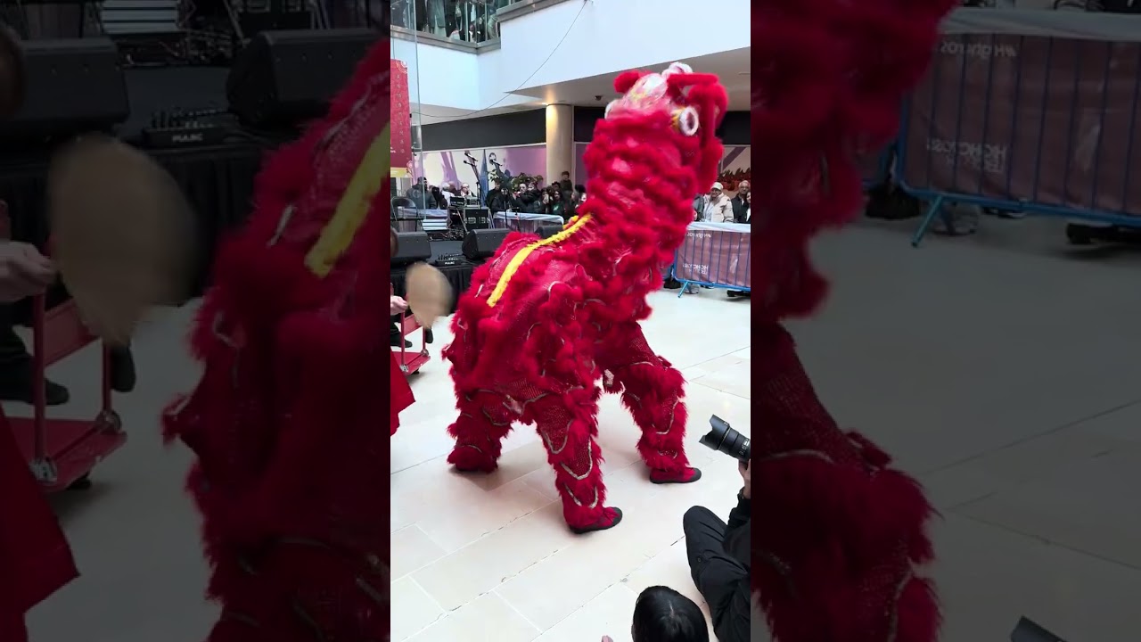 Lion Dance at Highcross Leicester | Lunar New Year 2026 Celebration