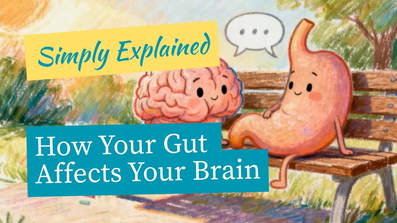 How Your Gut Affects Your Brain - Simply Explained