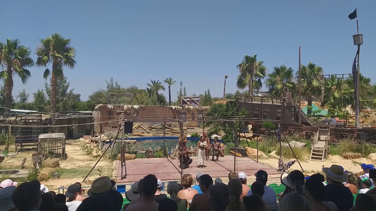 ZOOMARINE OS PIRATAS
