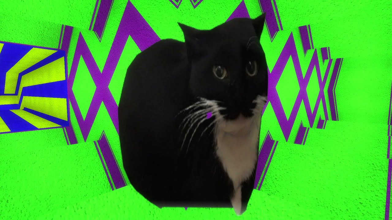 Maxwell Cat FAMILY in Phantasmagoria!!!