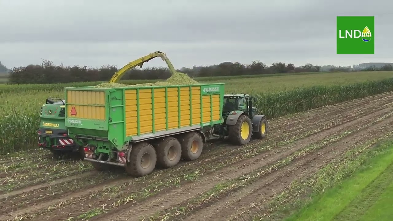 Mais hakselen in de Amerongse Bovenpolder door loonbedrijf Lagerweij uit Wijk bij Duurstede