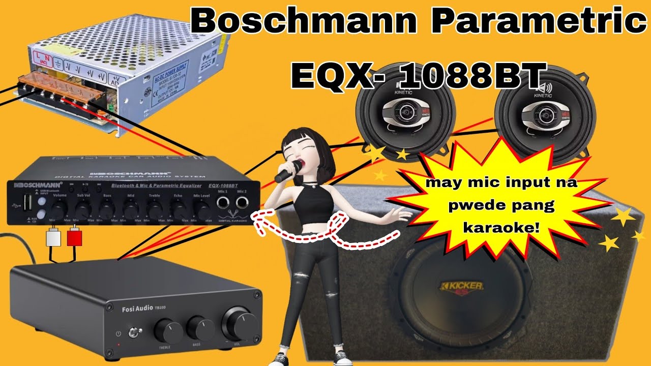 Parametric Equalizer na my mic input | Boschmann EQX 1088BT review!